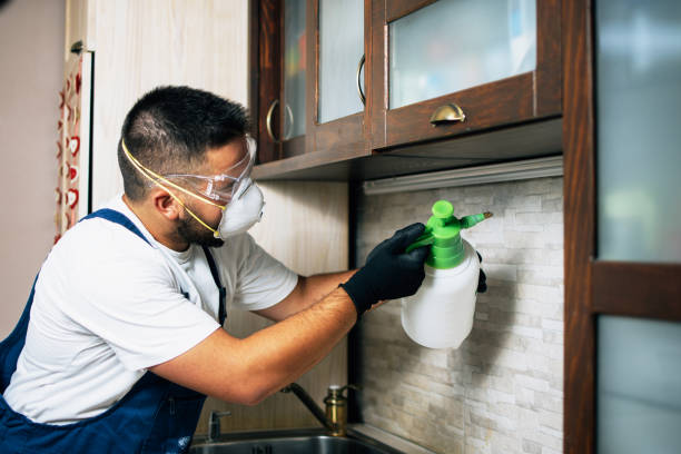 Best Best Pest Control Companies  in Orange, OH