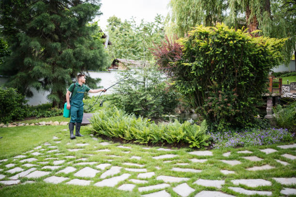 Best Local Pest Control Services  in Orange, OH