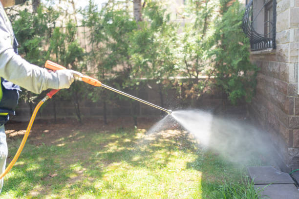 Best Affordable Pest Control Services  in Orange, OH