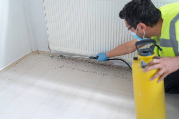 Trusted Orange, OH Pest Control Experts
