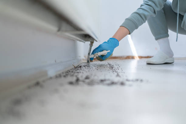 Best Pest Removal Services  in Orange, OH